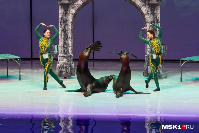 Источник: Артем Устюжанин / MSK1.RU