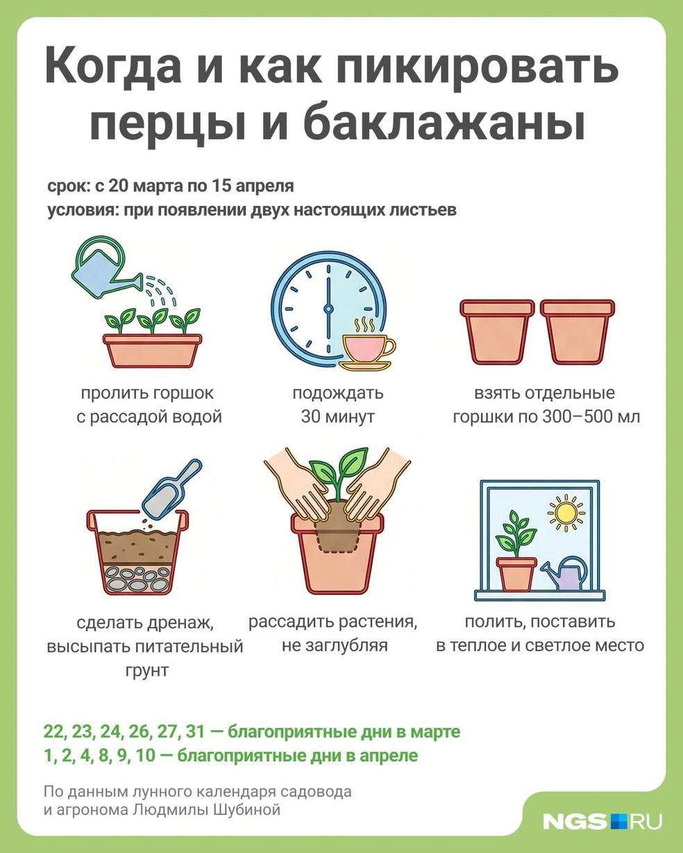 Источник: Юрий Орлов / Городские медиа