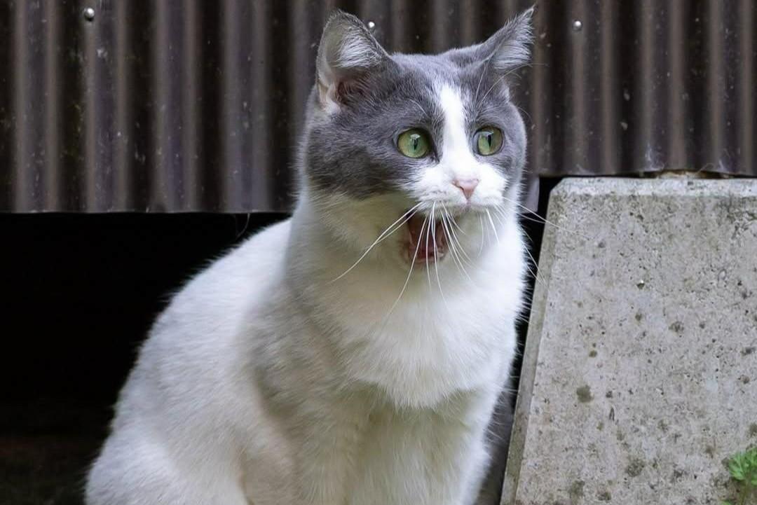 ��� ���� �������� ��� ����������: 15 ������������ ����������