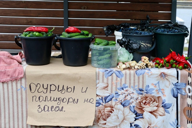 И всё, что нужно для сезонных закаток, тоже имеется | Источник: Наталья Зайцева / MGORSK.RU