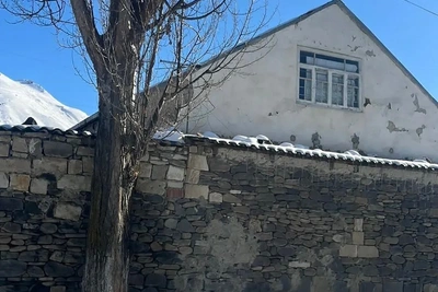 В селе Кумух обнаружено незаконно поврежденное дерево