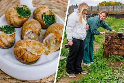 Perm Sisters Raise Snails for Food