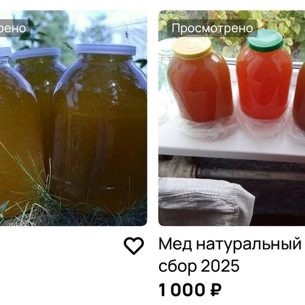 Цена на мед у пасечников | Источник: Дарья Гранкина / 26.RU