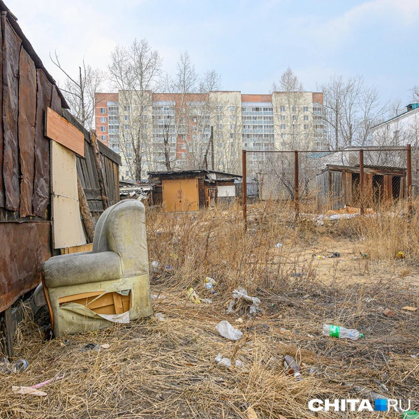 Источник: Олег Федоров / CHITA.RU