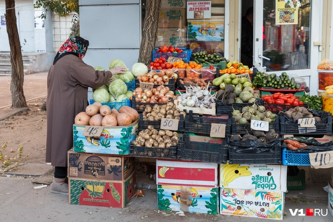Продавцы агрохимии не исключают, что можно нарваться на подделку | Источник: Алексей Волхонский / V1.RU