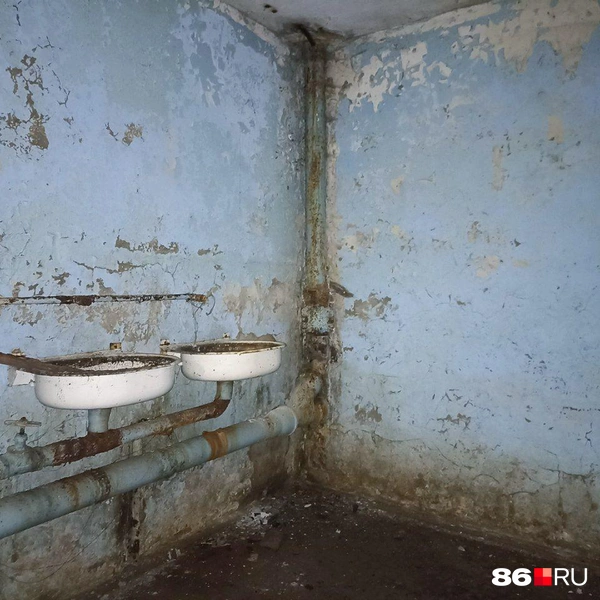 Еше одна неожиданная находка | Источник: Мария Гришкина / 86.RU