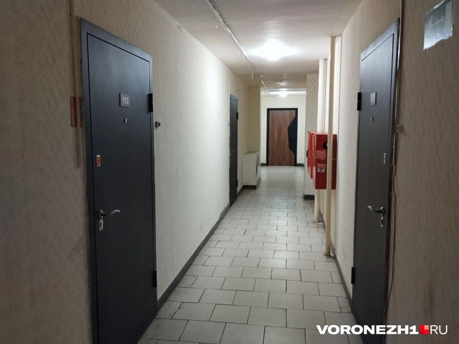 Источник: Дмитрий Волгин / Voronezh1.ru