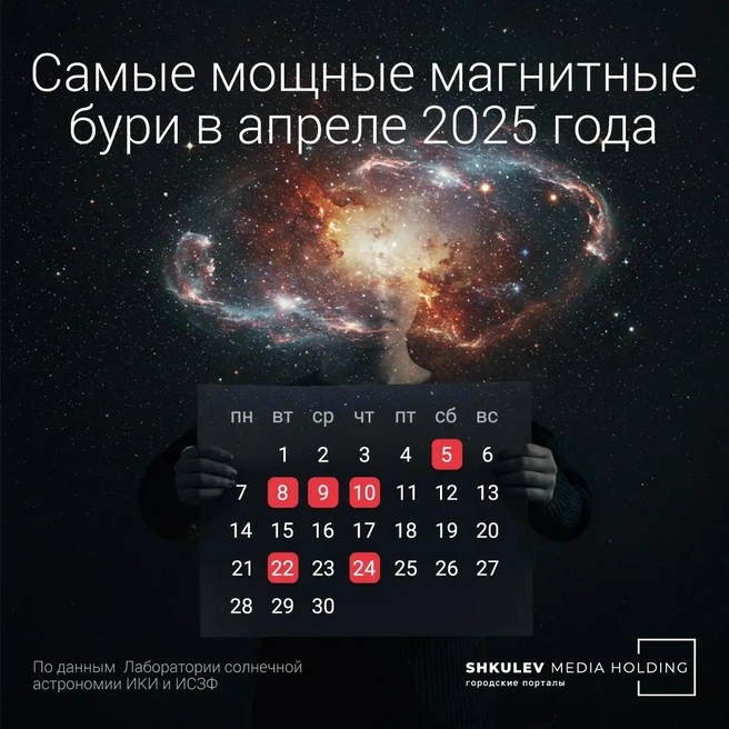 Сохраните, чтобы быть наготове | Источник: Полина Авдошина / Городские медиа