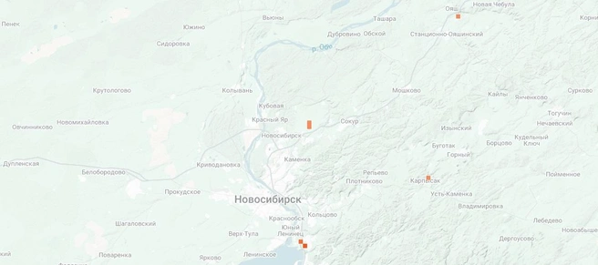 Рядовка растет обычно большими группами | Источник: inaturalist.org