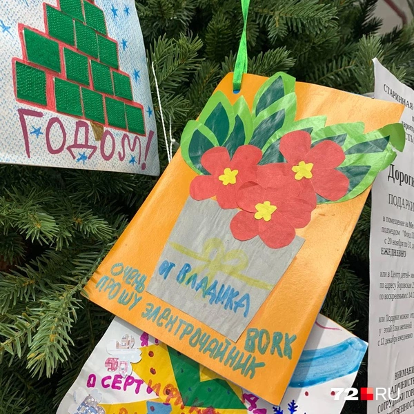 Источник: Никита Кифорук / 72.RU