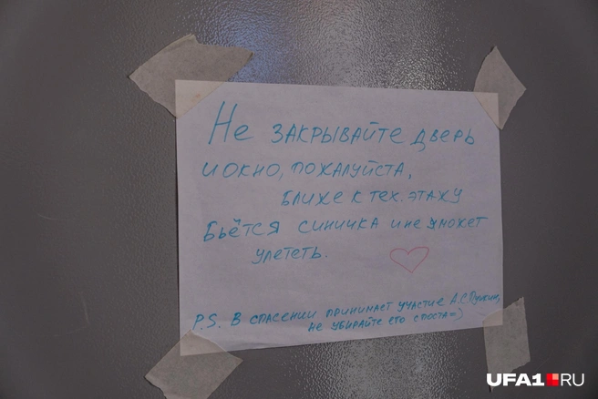 Зимой тепло надо беречь | Источник: Булат Салихов / UFA1.RU
