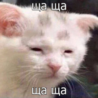 Аватарка little mouse