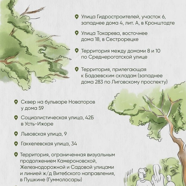 Источник: правительство Петербурга