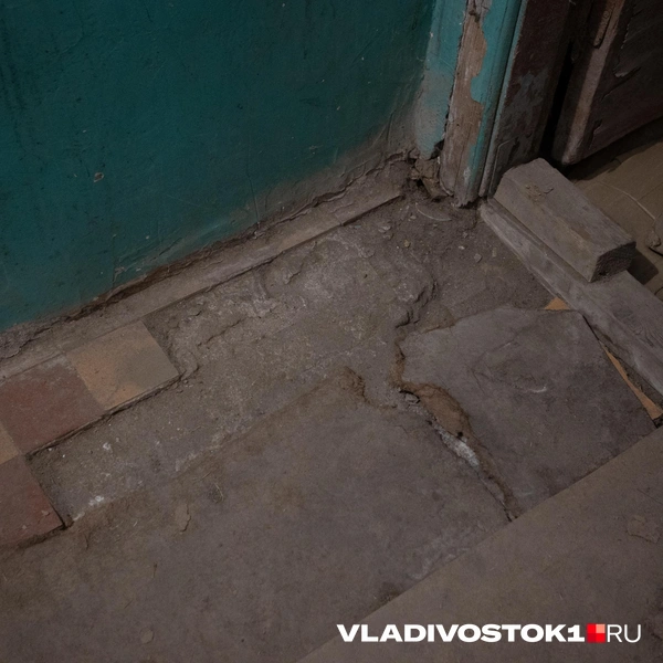 Источник: Елена Буйвол / VLADIVOSTOK1.RU
