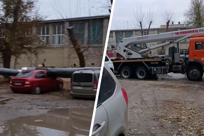 Люди парковали машины во дворе дома | Источник: предоставлено очевидцем