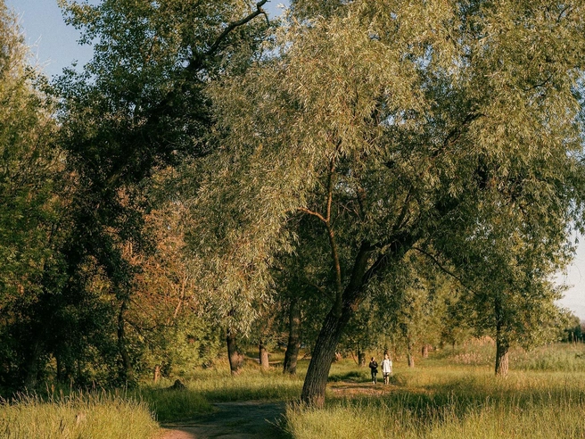 Источник: Александр Воднев