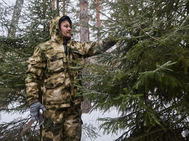 Для заготовки выбирают ель обыкновенную и сосну, которые растут в лесостепных районах, приобских лесах и ленточных борах. Пихту добывают в лесных массивах близ Салаирского кряжа. | Источник: Александр Ощепков / NGS.RU