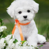 userpic__Лилия
