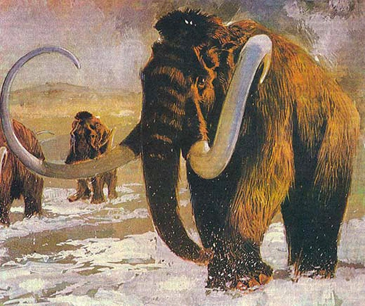 Они... существуют? | Источник: архив журнала «Вокруг света»