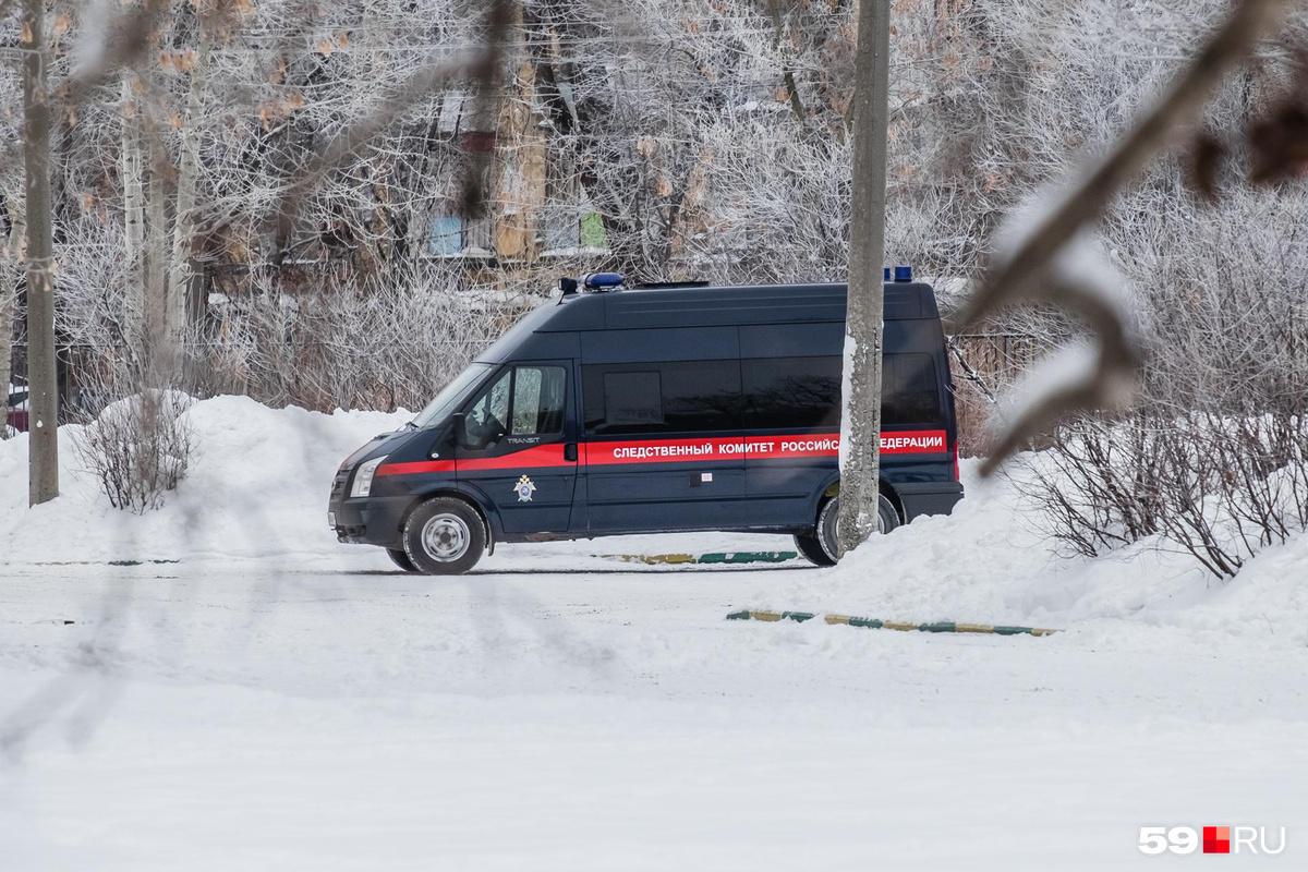 Пермяки пожаловались Екатерине Мизулиной на банду педофилов, СК начал  проверку - 9 ноября 2024 - 59.ру