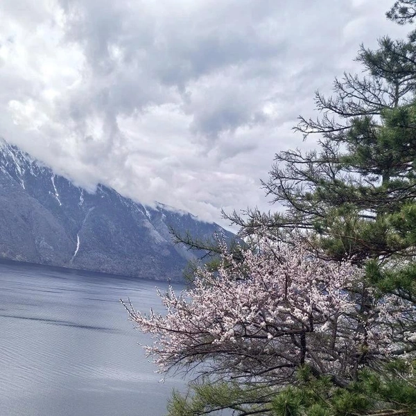 Источник: Наталья Шичкова