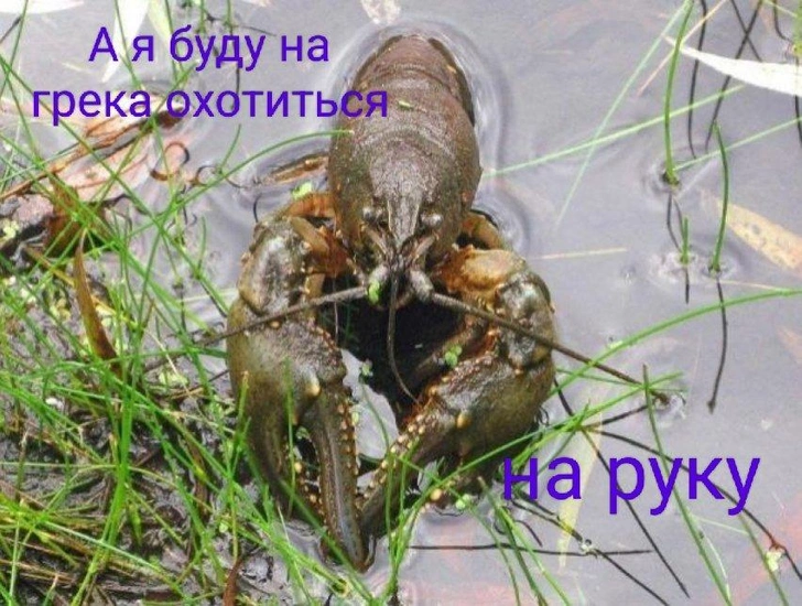 Источник: Соцсети