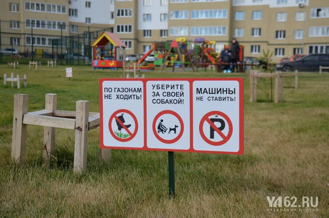 газон
