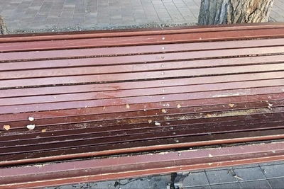В Горсаду Волгограда хулиган разбивает яйца на площадке
