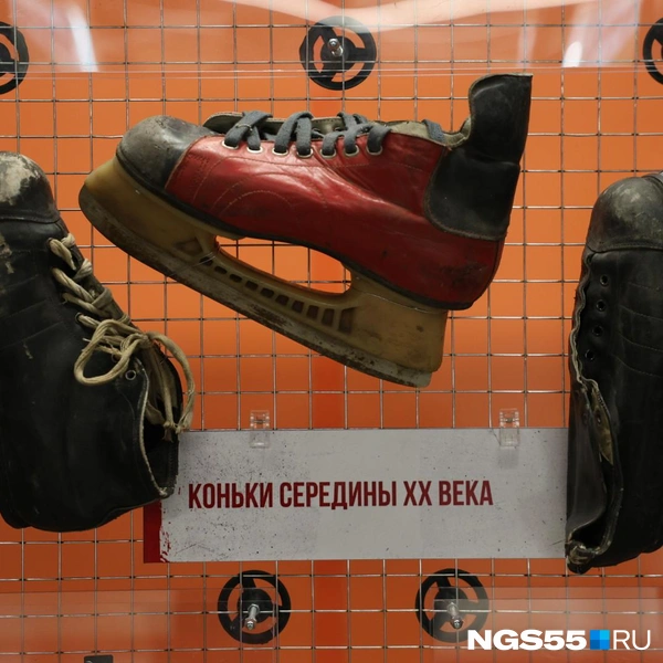 Здесь много интересного | Источник: Евгений Софийчук / NGS55.RU