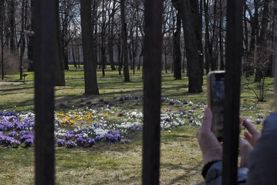 Погода в Петербурге в субботу: нордический характер