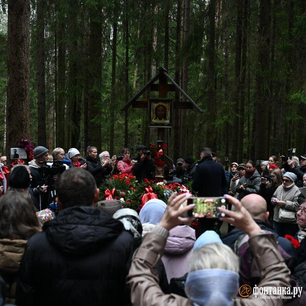Источник: Андрей Бок / «Фонтанка.ру»