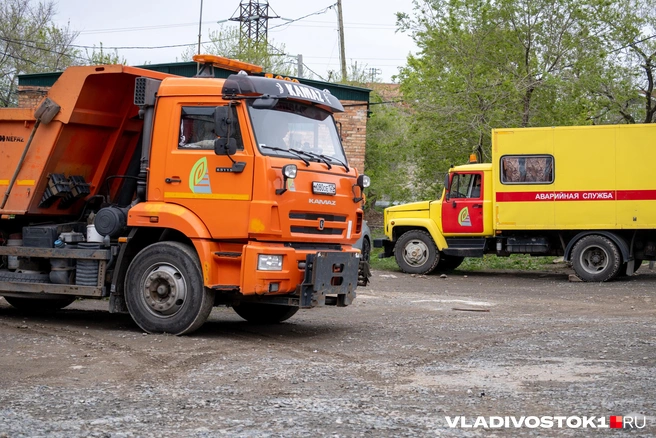 Источник: Елена Буйвол / VLADIVOSTOK1.RU