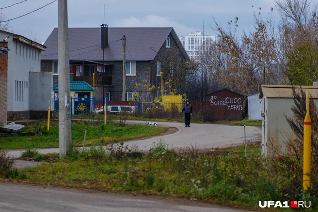 Ну и с собачкой погулять | Источник: Булат Салихов / UFA1.RU