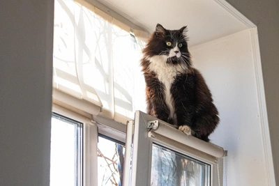 Сроки отключения отопления в Барнауле в 2026 году