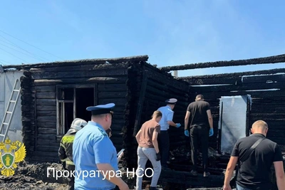 Трое погибших в пожаре в Татарском районе