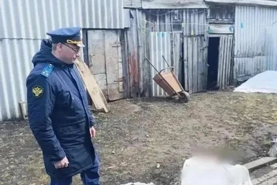 Из ревности: убийство ножницами и черенком в Нижегородской области