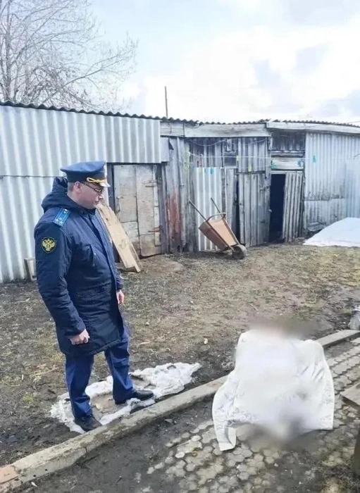 Убийство поражает своей жестокостью | Источник: Прокуратура Нижегородской области