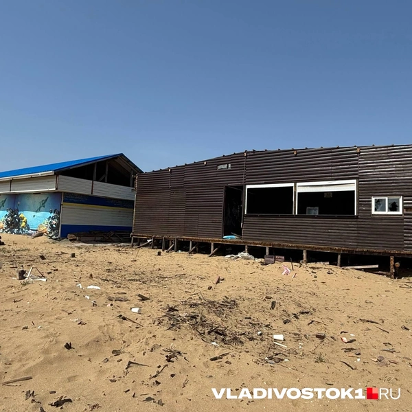 Источник: Елена Буйвол / VLADIVOSTOK1.RU