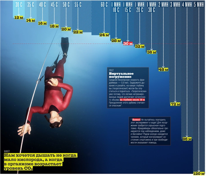 Свободное плавание: на что способны мастера фридайвинга