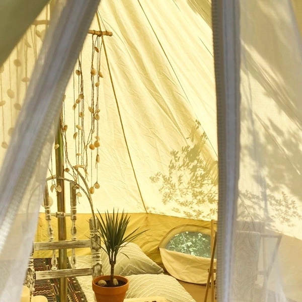 Источник: meduza camp / Vk.com