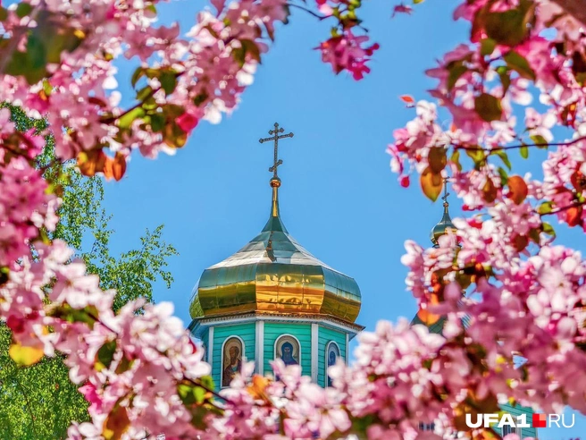 Сохраняйте открытку для родственников | Источник: Булат Салихов / UFA1.RU