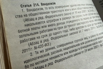 Полиция Смоленска установила вандала с улицы Николаева
