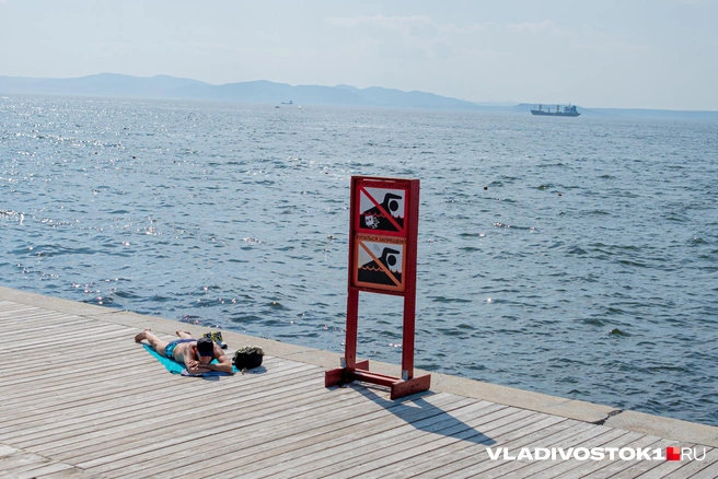 Источник: Елена Буйвол / VLADIVOSTOK1.RU