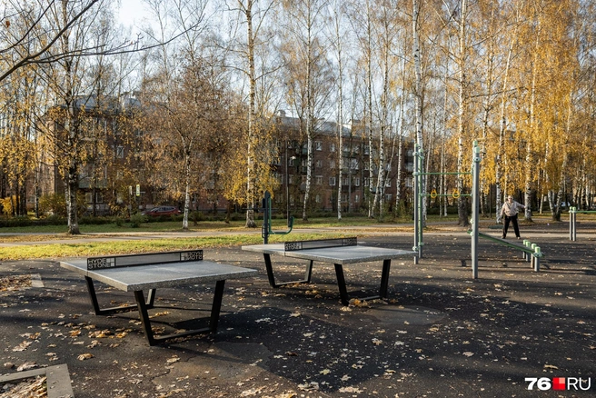 Даже в октябрьский будний день здесь занимаются  | Источник: Александр Куренной / 76.RU