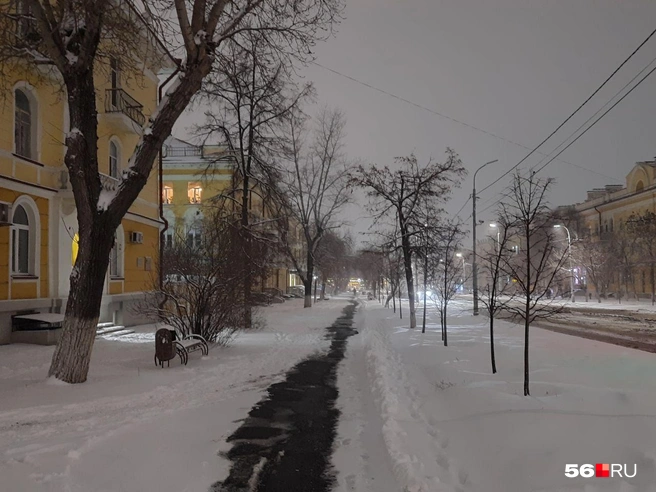 Источник: Анастасия Баринова / 56.RU