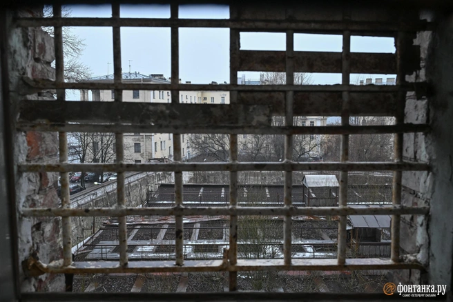 Небо в клеточку | Источник: Андрей Бок / FONTANKA.RU