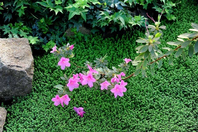 Источник: Денис Гуков