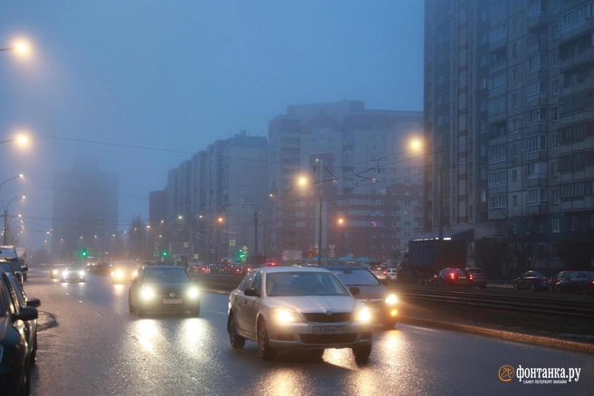 Во время тумана нужно быть внимательнее за рулём и при переходе дороги | Источник: Сергей Михайличенко / FONTANKA.RU
