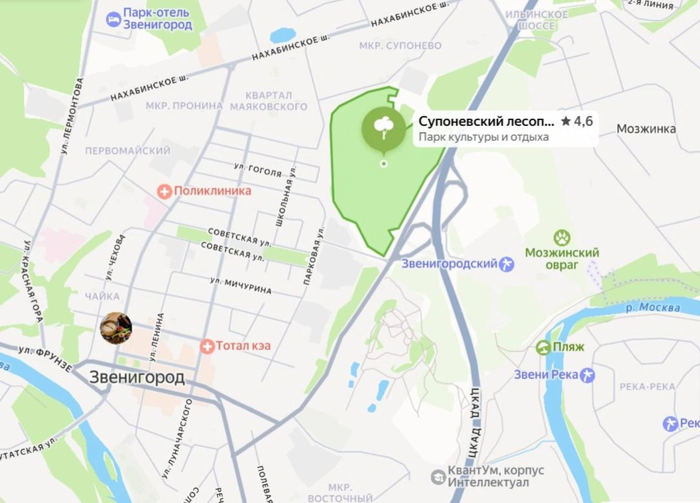 Супоневский лесопарк расположен рядом с ЦКАД | Источник: «Яндекс Карты»