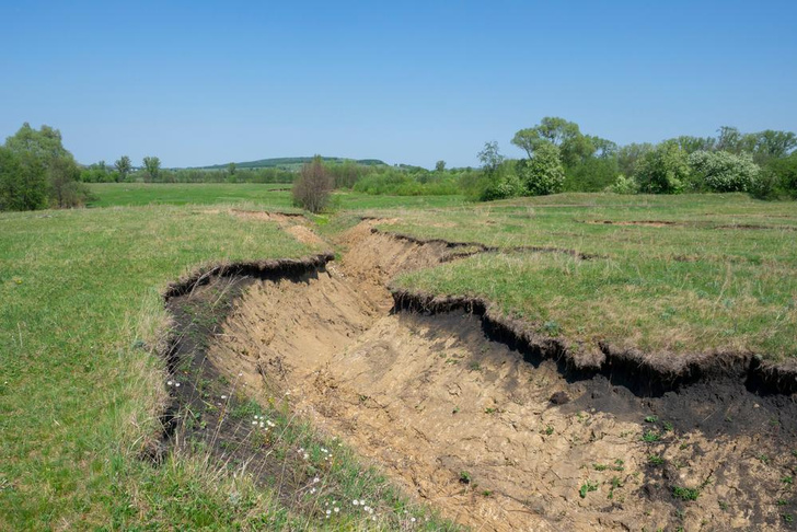 Эрозия почв: как разрушается и куда исчезает плодородный слой земли
